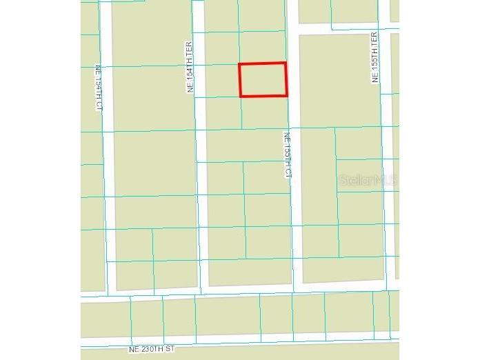 NE 155th Court Fort Mc Coy FL 32134 OM659667 image2