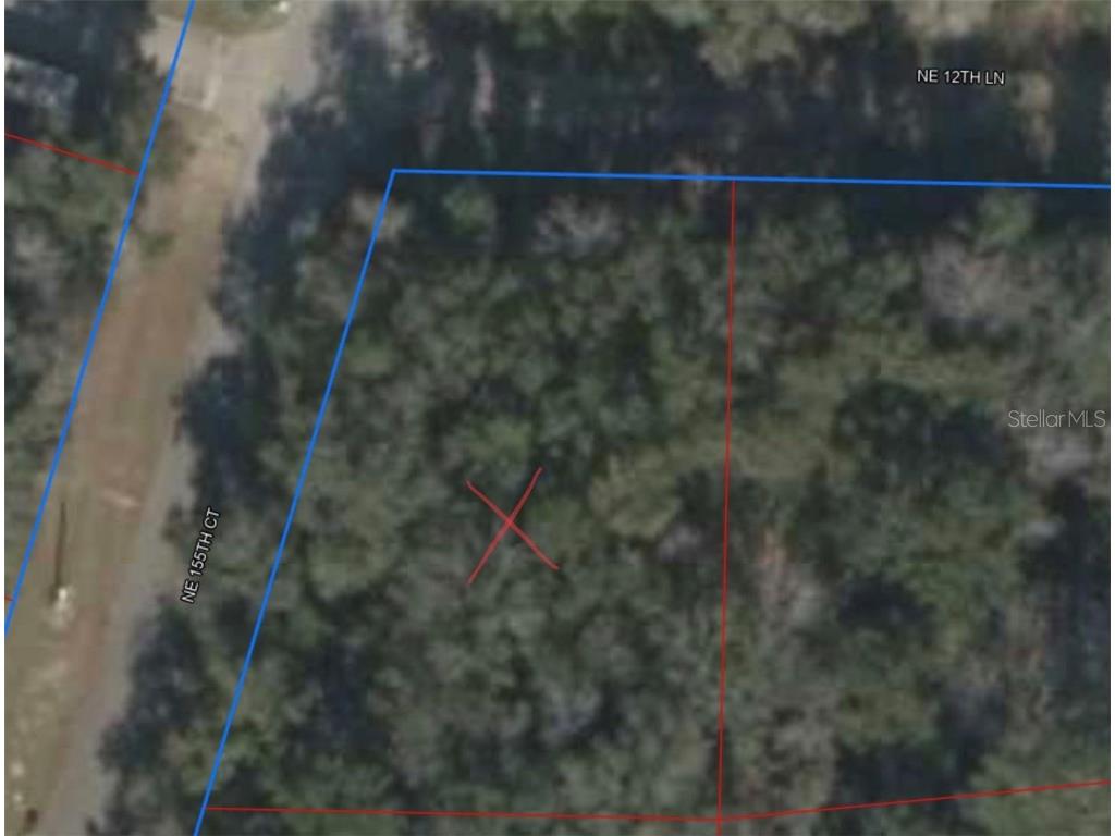 NE 155th Court Williston FL 32696 A4577427 image1