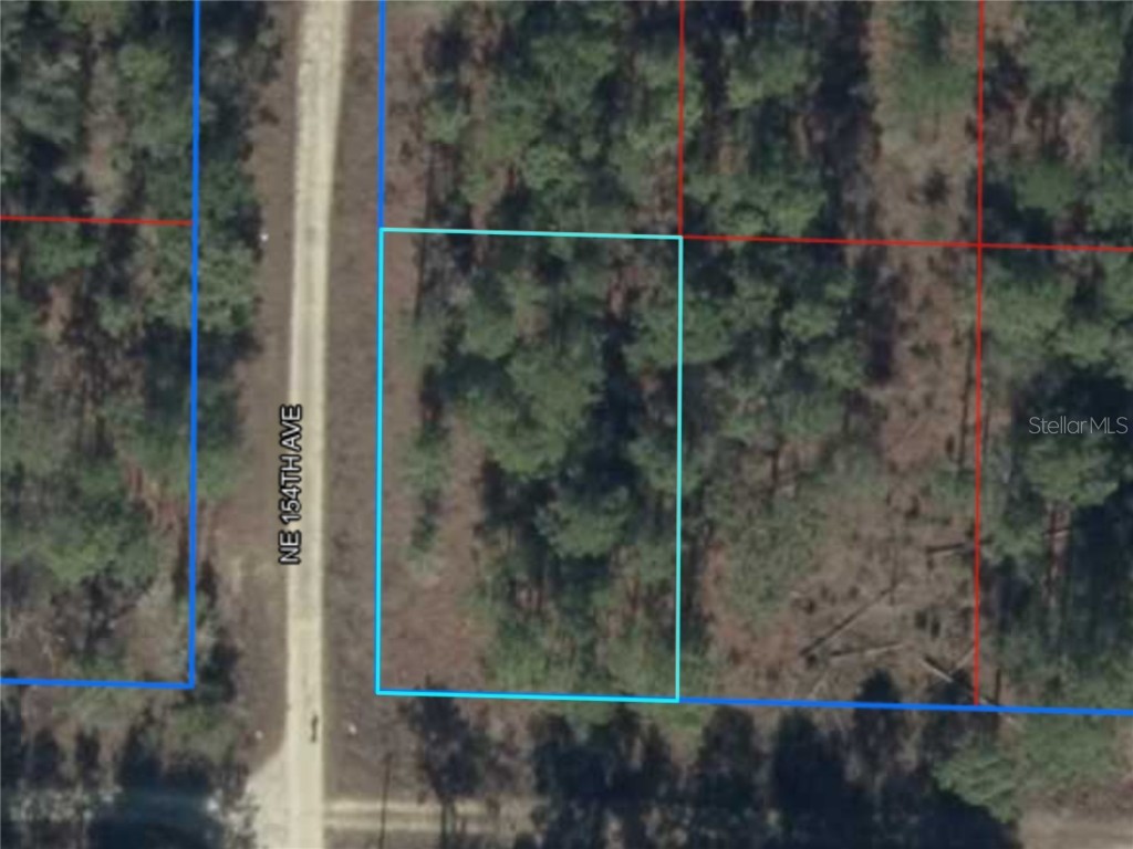 Ne 15th Ln Lot 11 Williston FL 32696 S5141072 image1