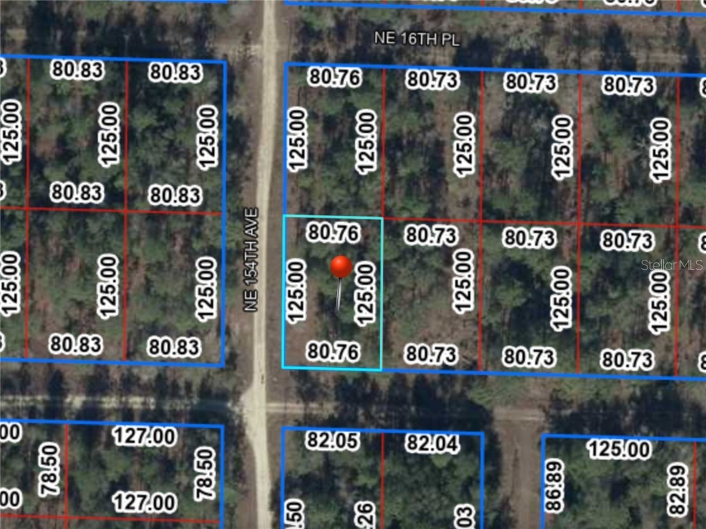 Ne 15th Ln Lot 11 Williston FL 32696 S5141072 image3