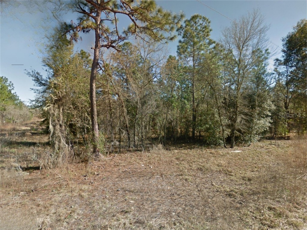Ne 15th Ln Lot 11 Williston FL 32696 S5141072 image5