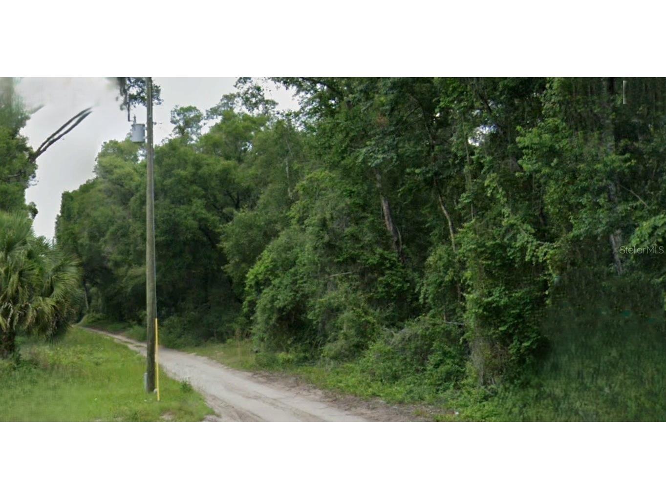 NE 162nd Place Citra FL 32113 O6369928 image1