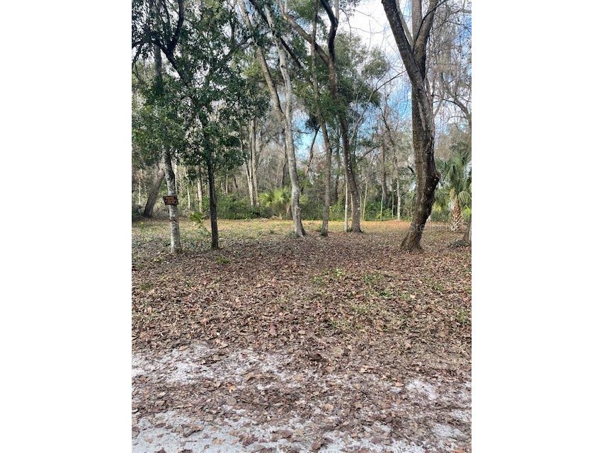 NE 164 Lane Citra FL 32113 OM715442 image1