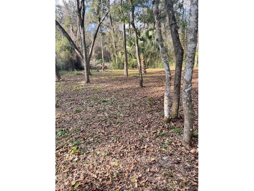 NE 164 Lane Citra FL 32113 OM715442 image2