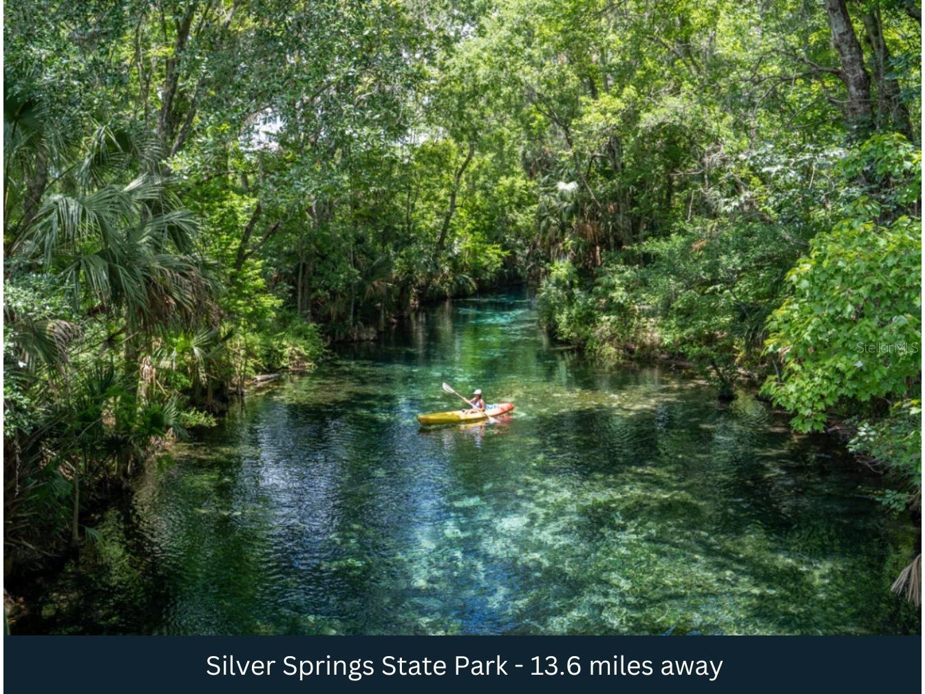 NE 165th Terrace Silver Springs FL 34488 TB8464196 image12