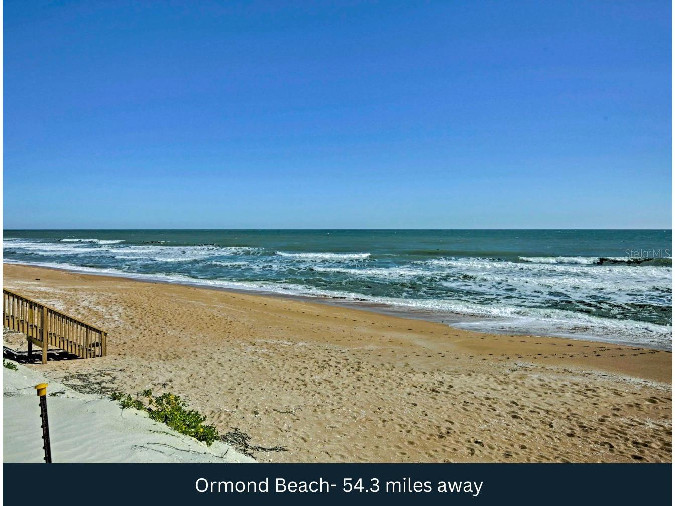 NE 165th Terrace Silver Springs FL 34488 TB8464196 image13