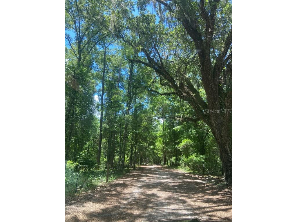 NE 166th Avenue Williston FL 32696 TB8400682 image1