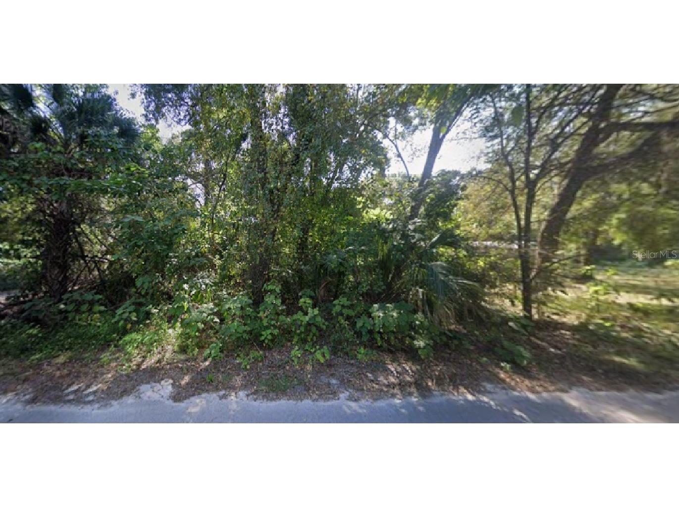 NE 167th Place Citra FL 32113 R4910959 image1