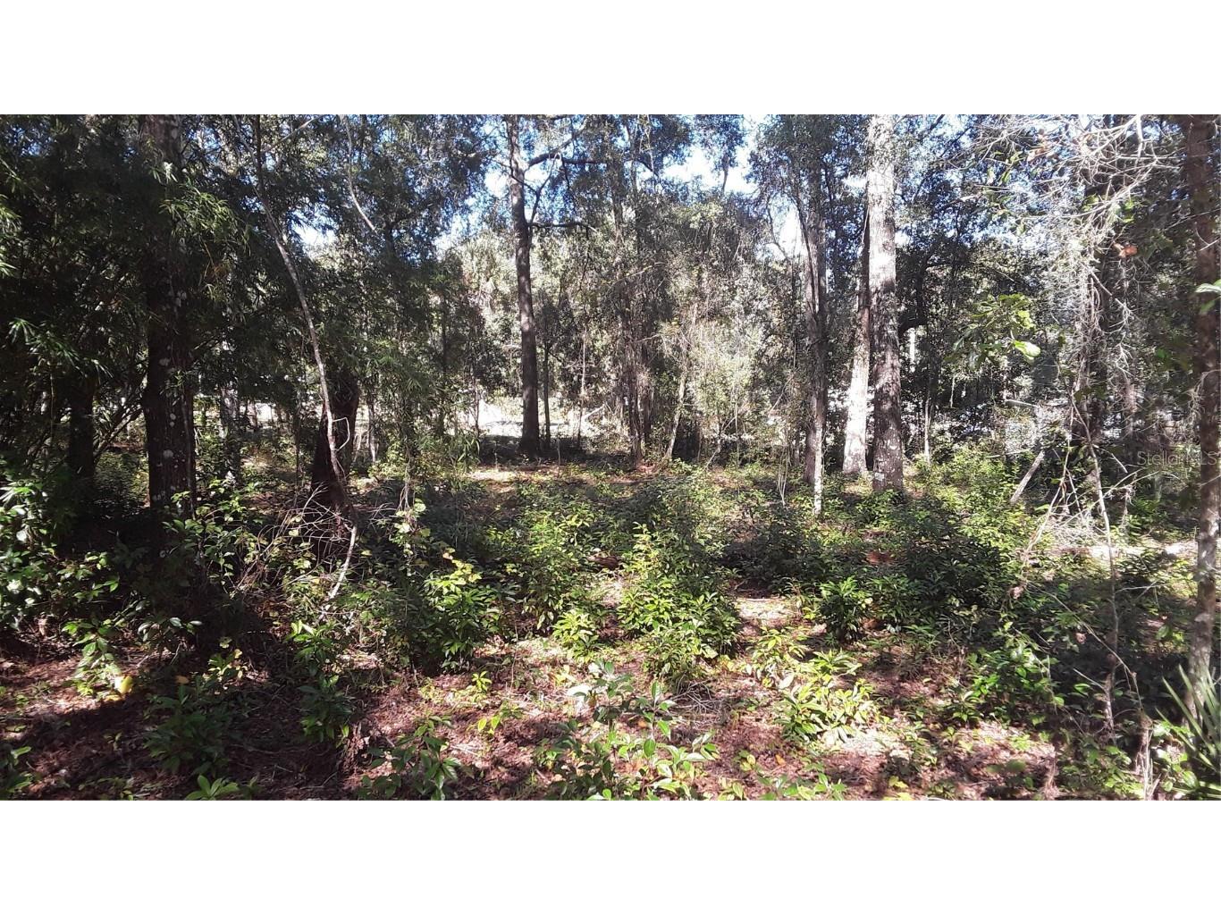 NE 169th Place Place Citra FL 32113 OM644286 image1