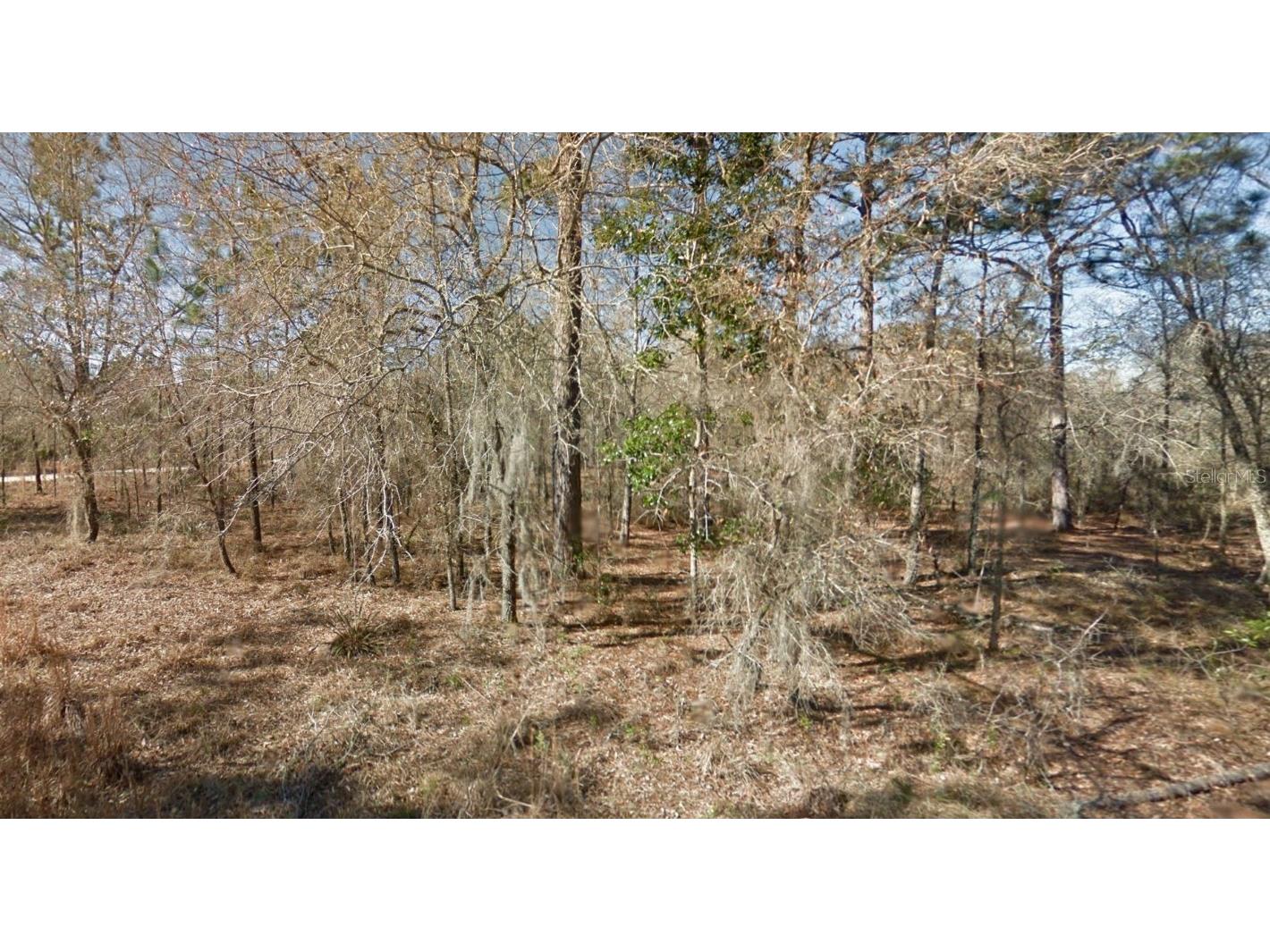 NE 16th Street #LOT 5 Williston FL 32696 G5082366 image1