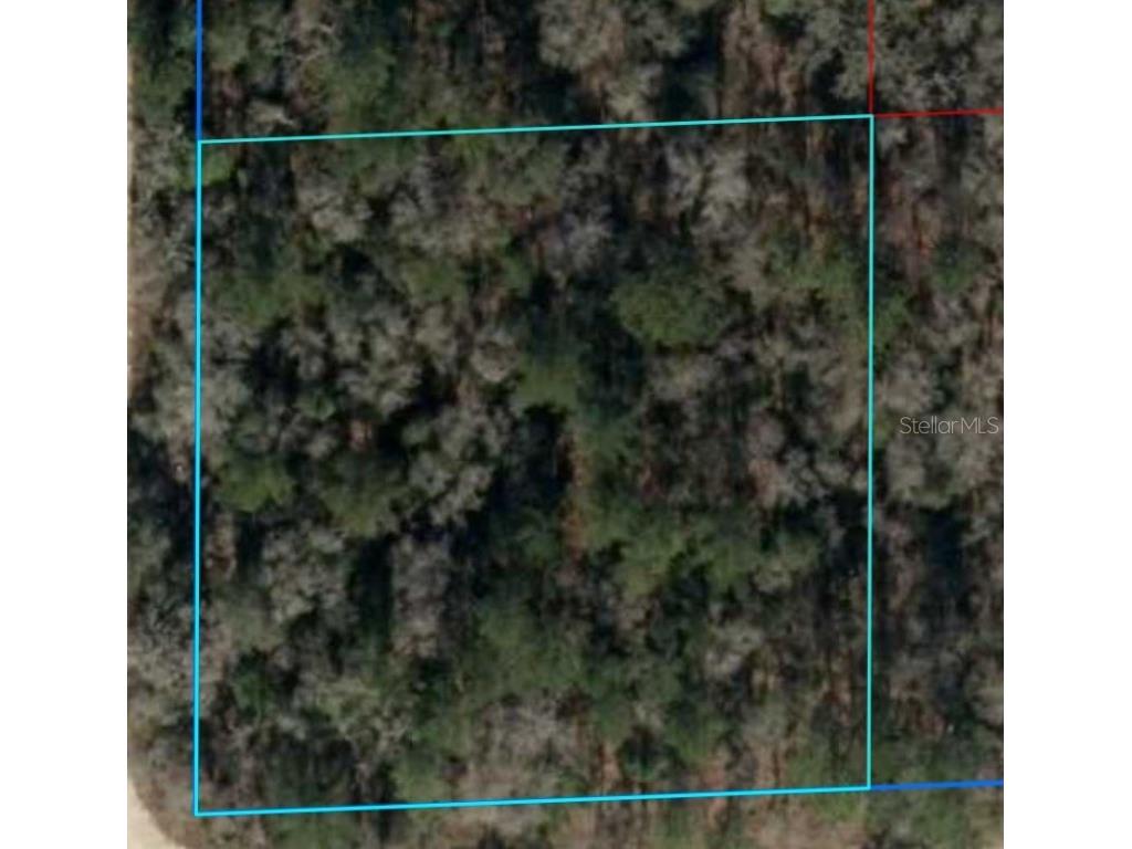 NE 16th Street #LOT 6 Williston FL 32696 G5082367 image1