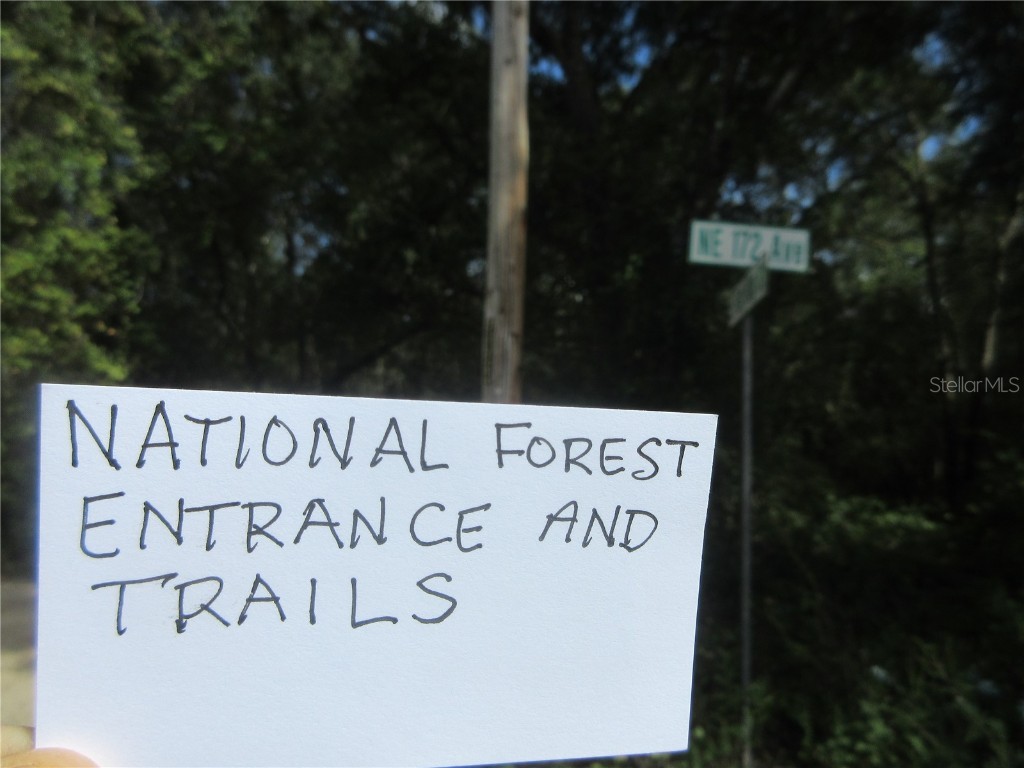 NE 171st Court Silver Springs FL 34488 OM711560 image12