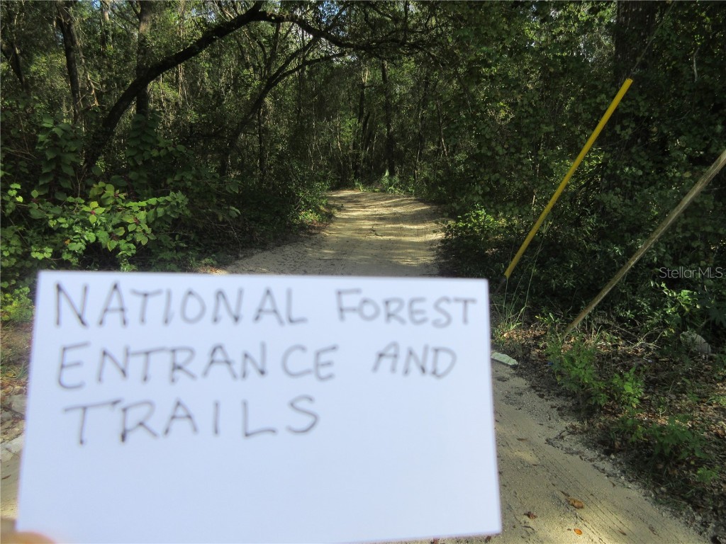 NE 171st Court Silver Springs FL 34488 OM711560 image13