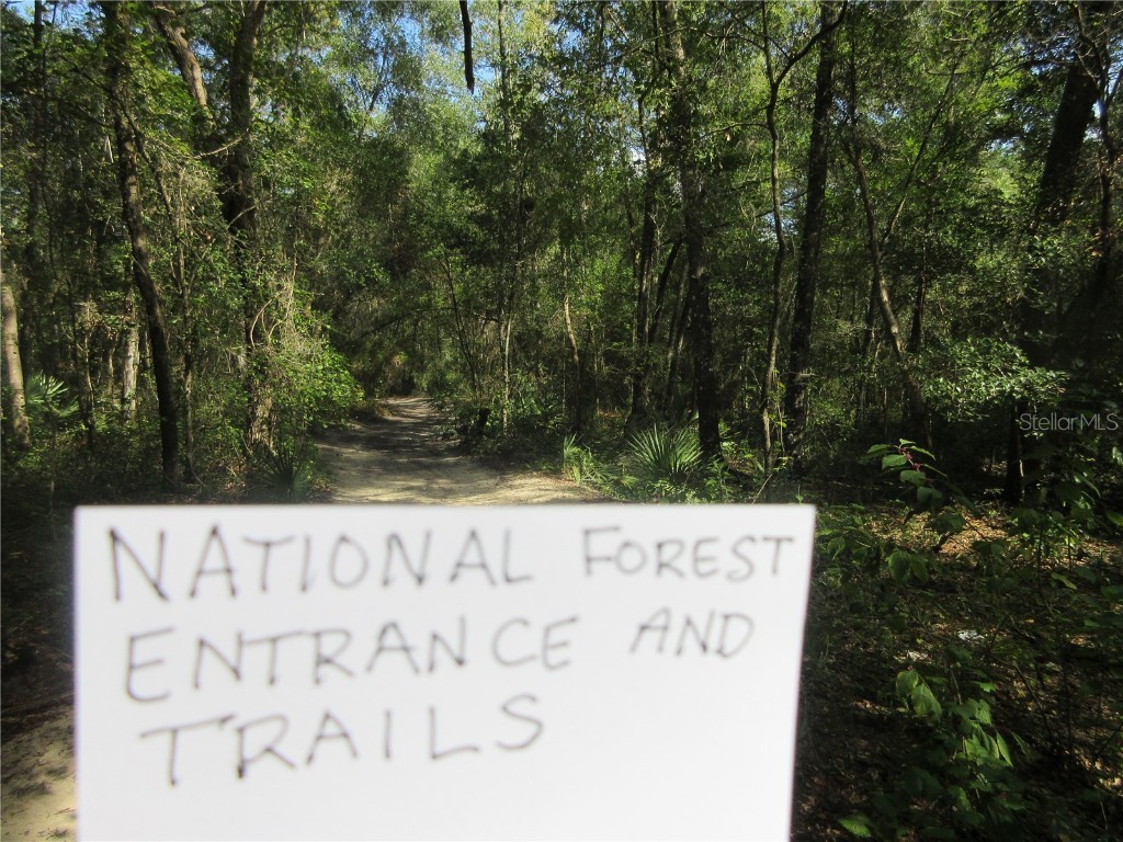 NE 171st Court Silver Springs FL 34488 OM711560 image14