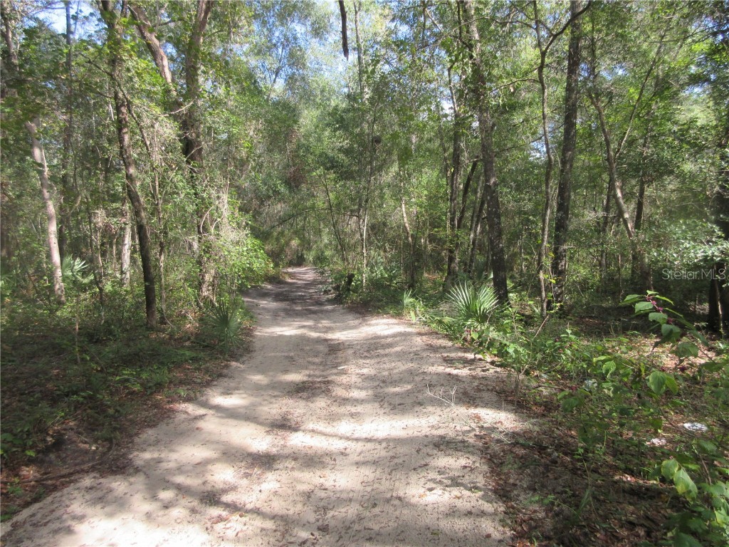 NE 171st Court Silver Springs FL 34488 OM711560 image15