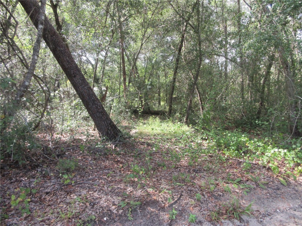 NE 171st Court Silver Springs FL 34488 OM711560 image4