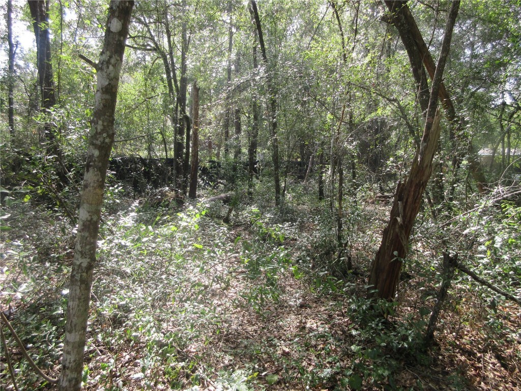 NE 171st Court Silver Springs FL 34488 OM711560 image5