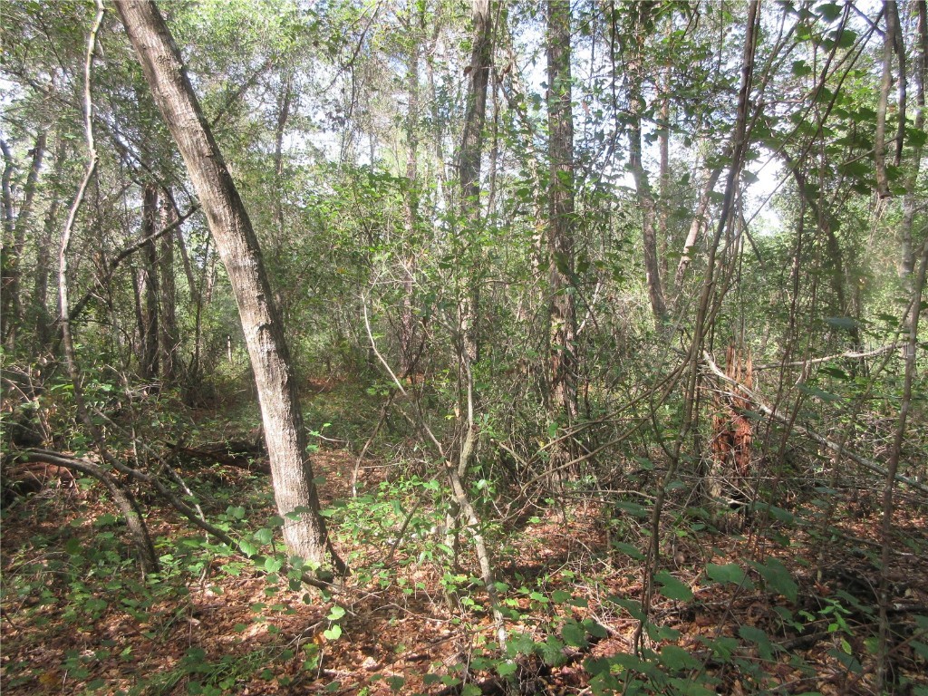 NE 171st Court Silver Springs FL 34488 OM711560 image6