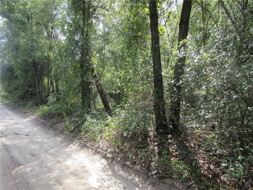 NE 171st Court Silver Springs FL 34488 OM711560 image8