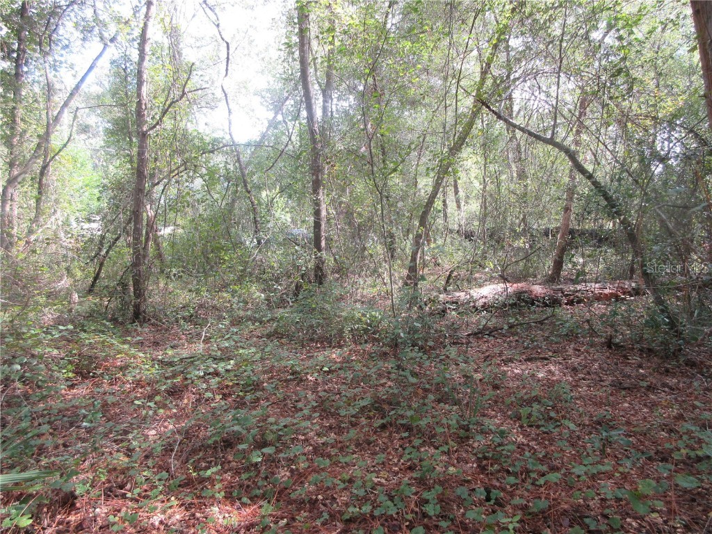 NE 171st Court Silver Springs FL 34488 OM711563 image11