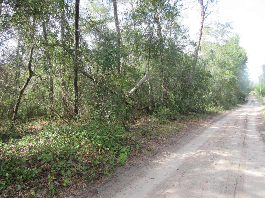 NE 171st Court Silver Springs FL 34488 OM711563 image12