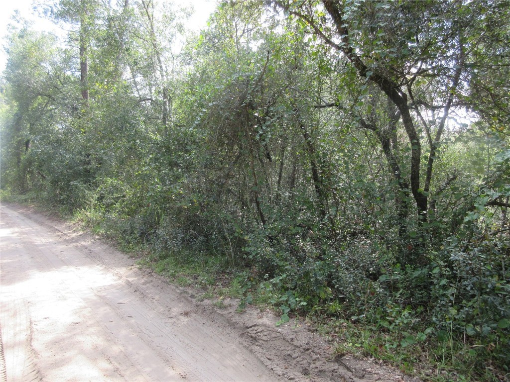 NE 171st Court Silver Springs FL 34488 OM711563 image13