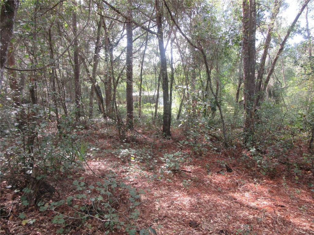 NE 171st Court Silver Springs FL 34488 OM711563 image2