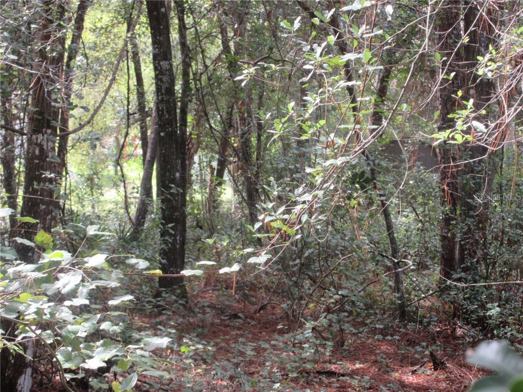 NE 171st Court Silver Springs FL 34488 OM711563 image8