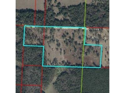 NE 172nd Court Williston FL 32696 O6419938 image1