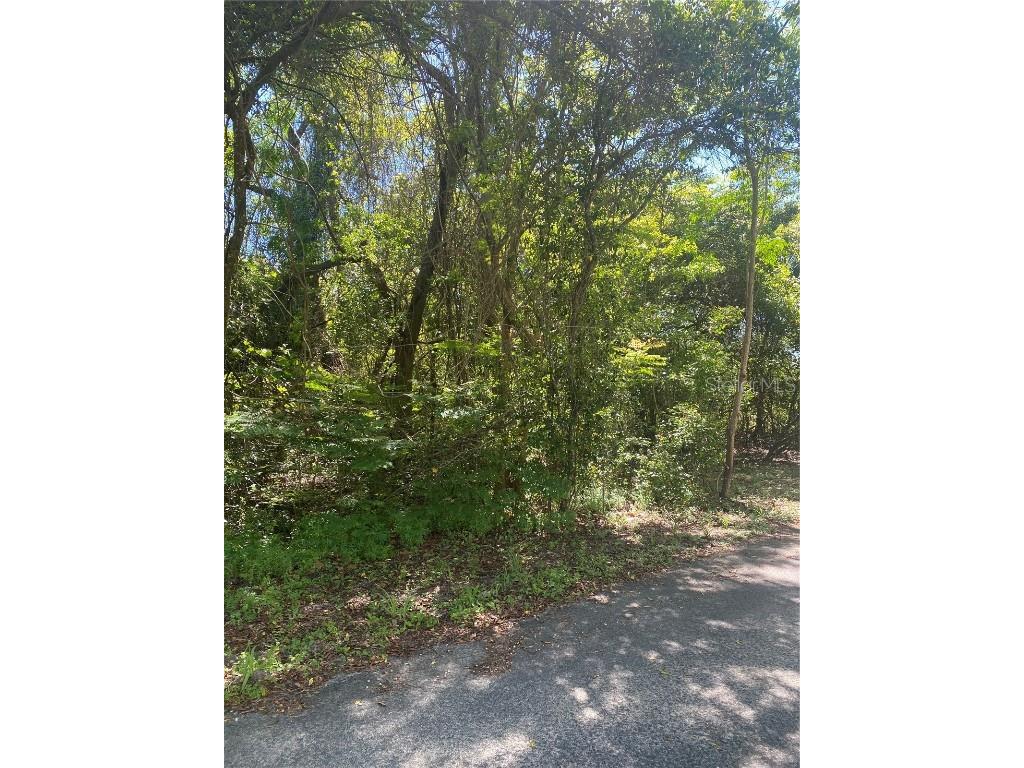 NE 177th Place Citra FL 32113 OM655264 image1