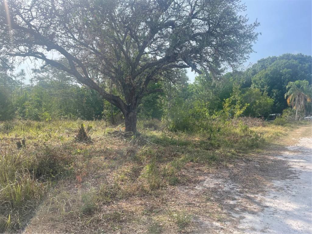 NE 17th Terrace Okeechobee FL 34972 OK222685 image1