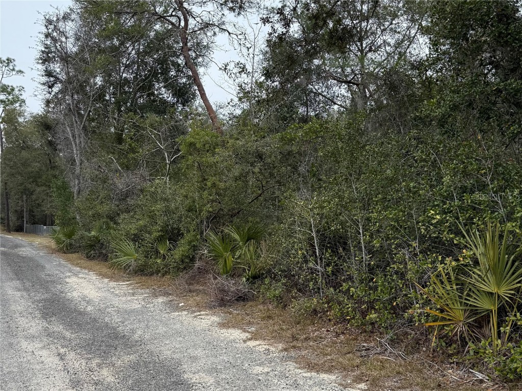 NE 191st Lane Fort Mc Coy FL 32134 OM694285 image1