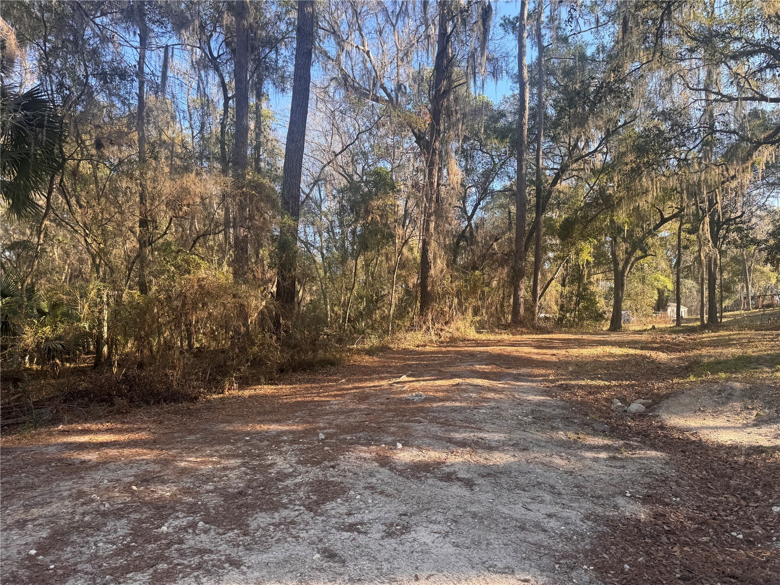0 198th Lane Fort Mc Coy FL 32134 TB8524091 image1