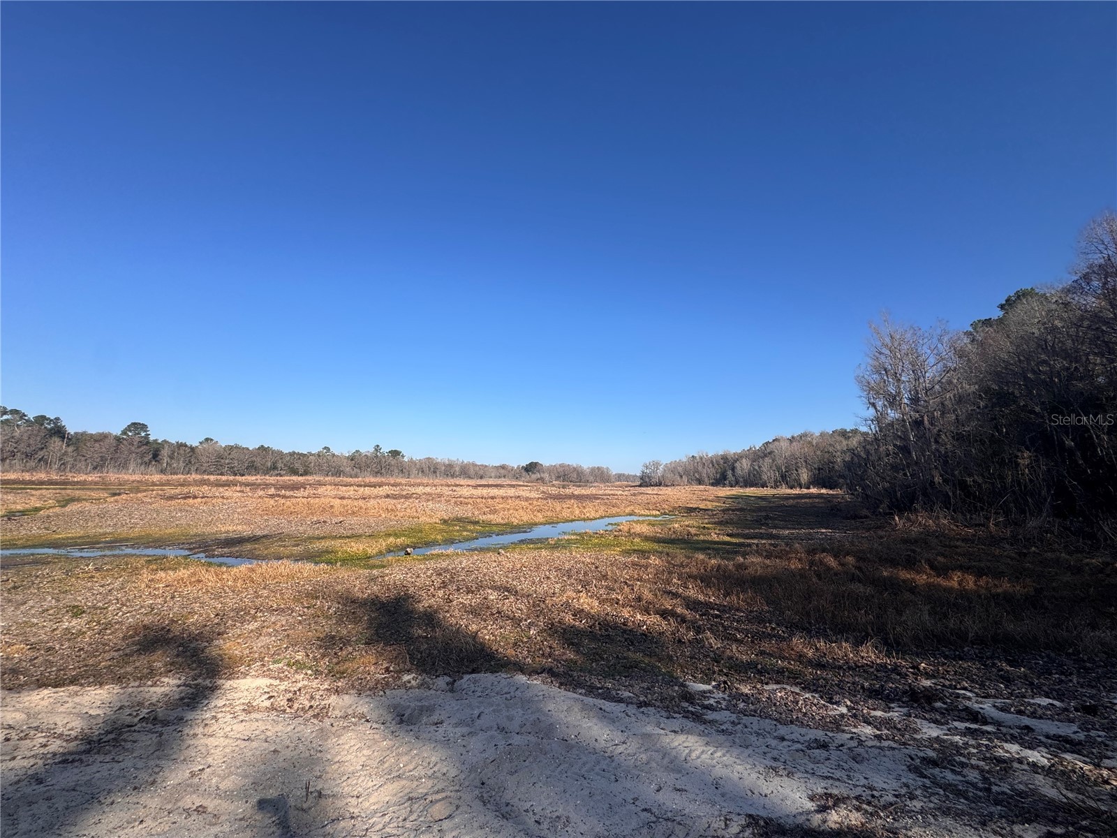 0 198th Lane Fort Mc Coy FL 32134 TB8524091 image11