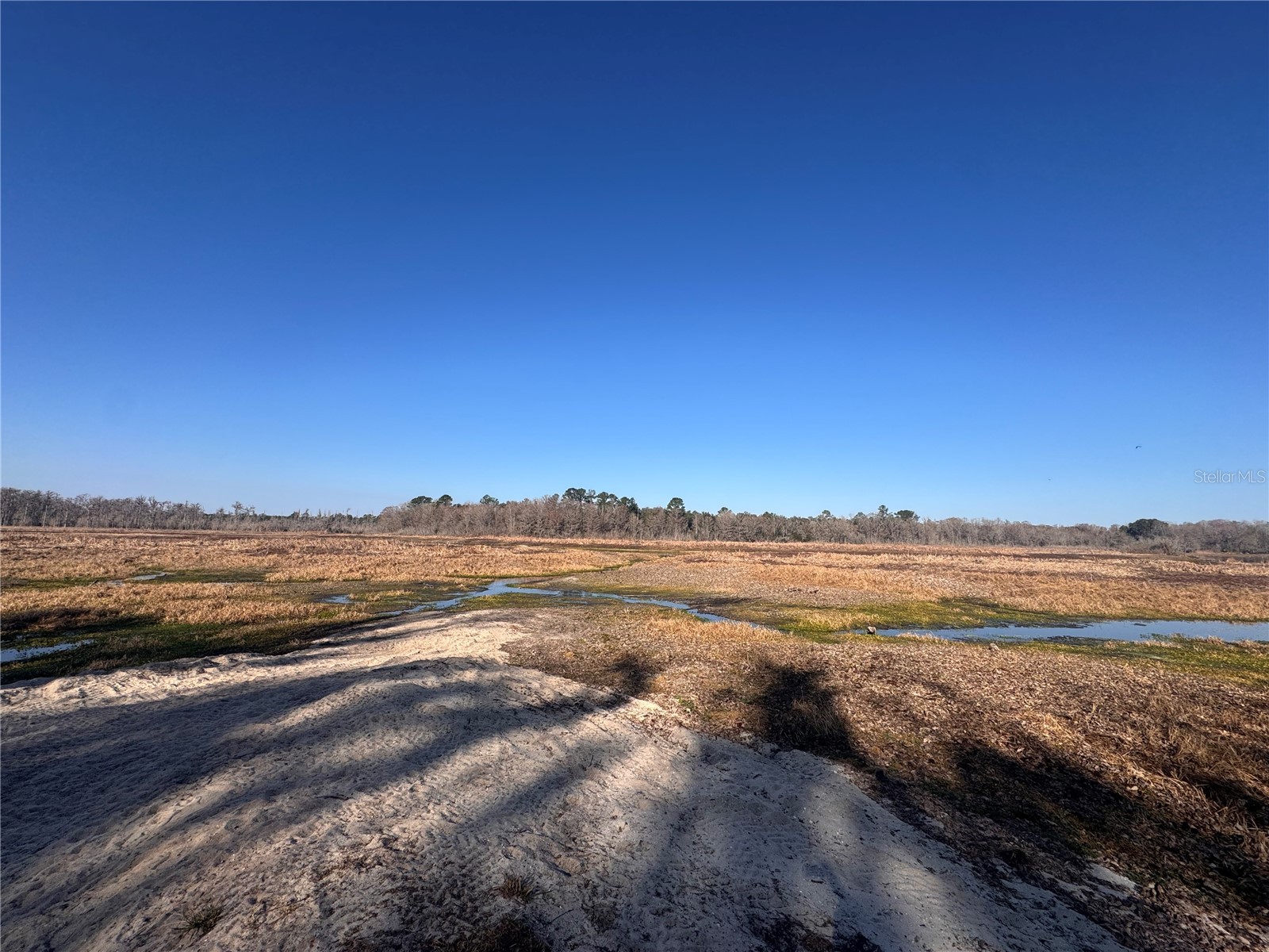 0 198th Lane Fort Mc Coy FL 32134 TB8524091 image12