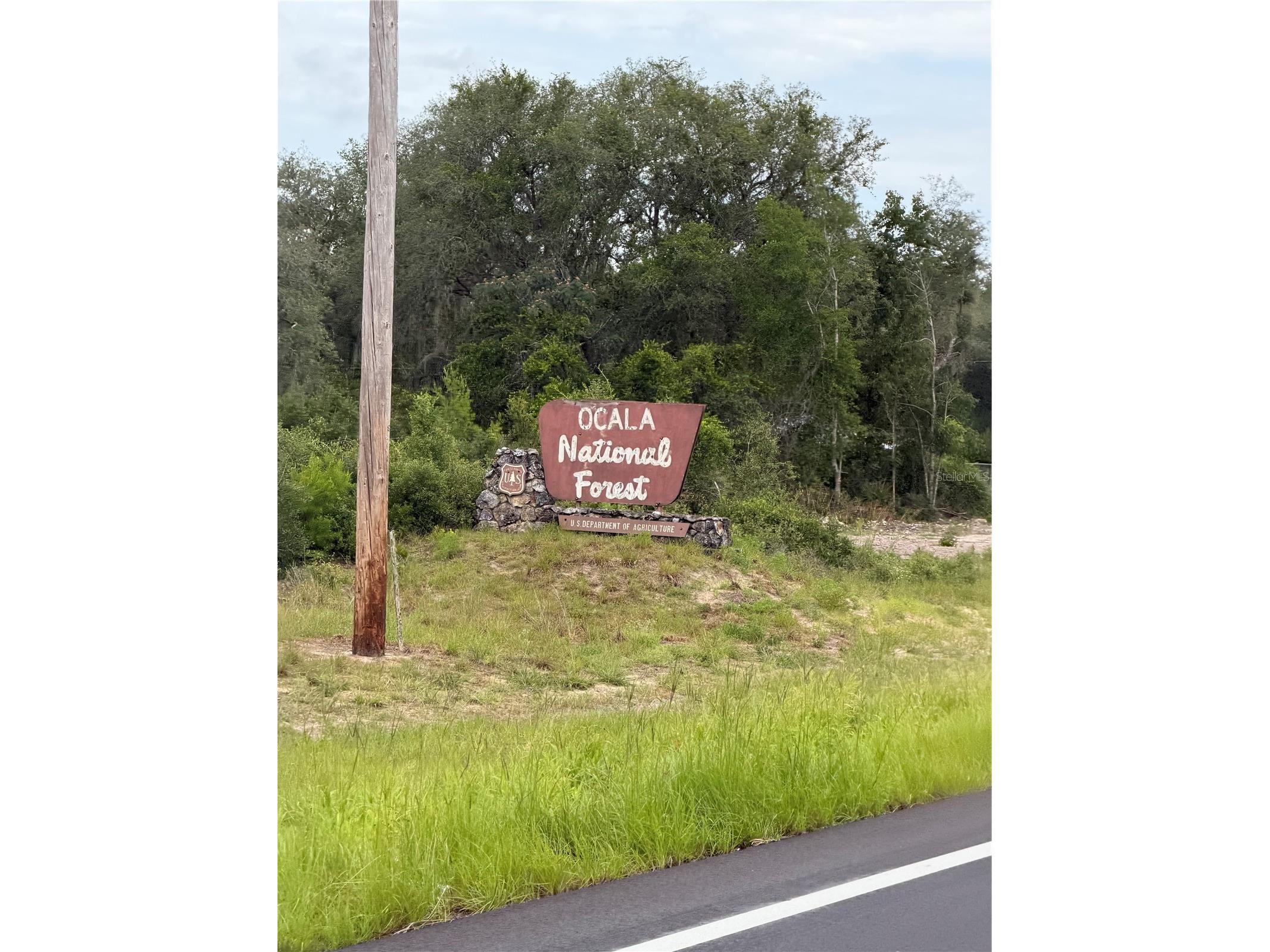 0 198th Lane Fort Mc Coy FL 32134 TB8524091 image14