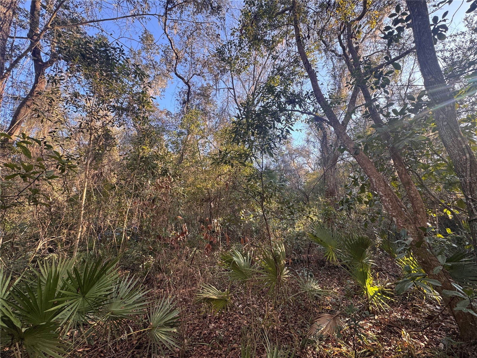 0 198th Lane Fort Mc Coy FL 32134 TB8524091 image6