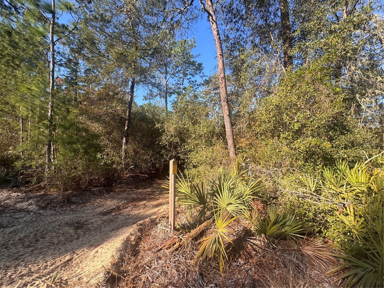 0 198th Lane Fort Mc Coy FL 32134 TB8524091 image8