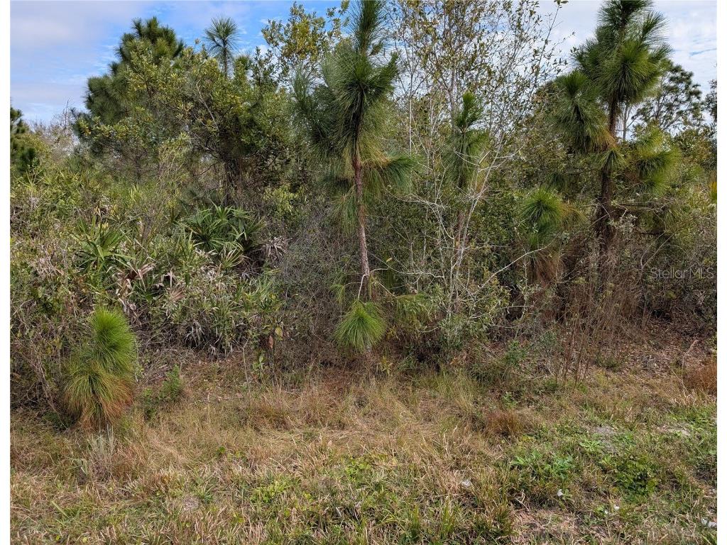 NE 1st Ter Okeechobee FL 34972 L4950171 image1