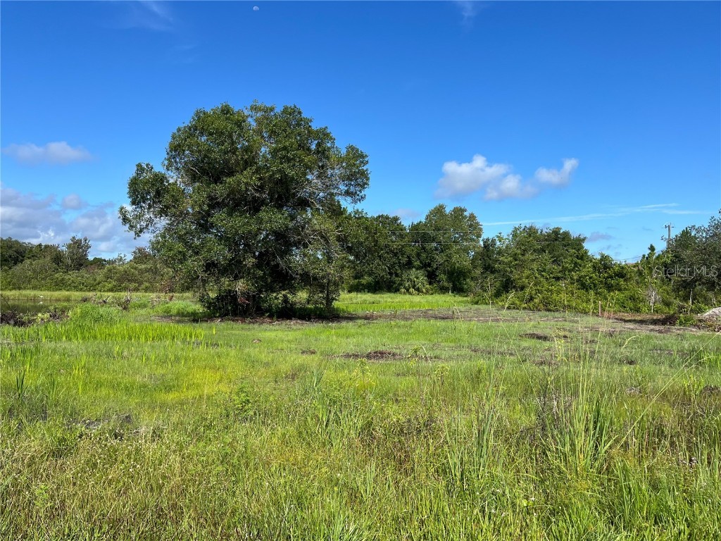 NE 1st Terrace Okeechobee FL 34972 OK224302 image1