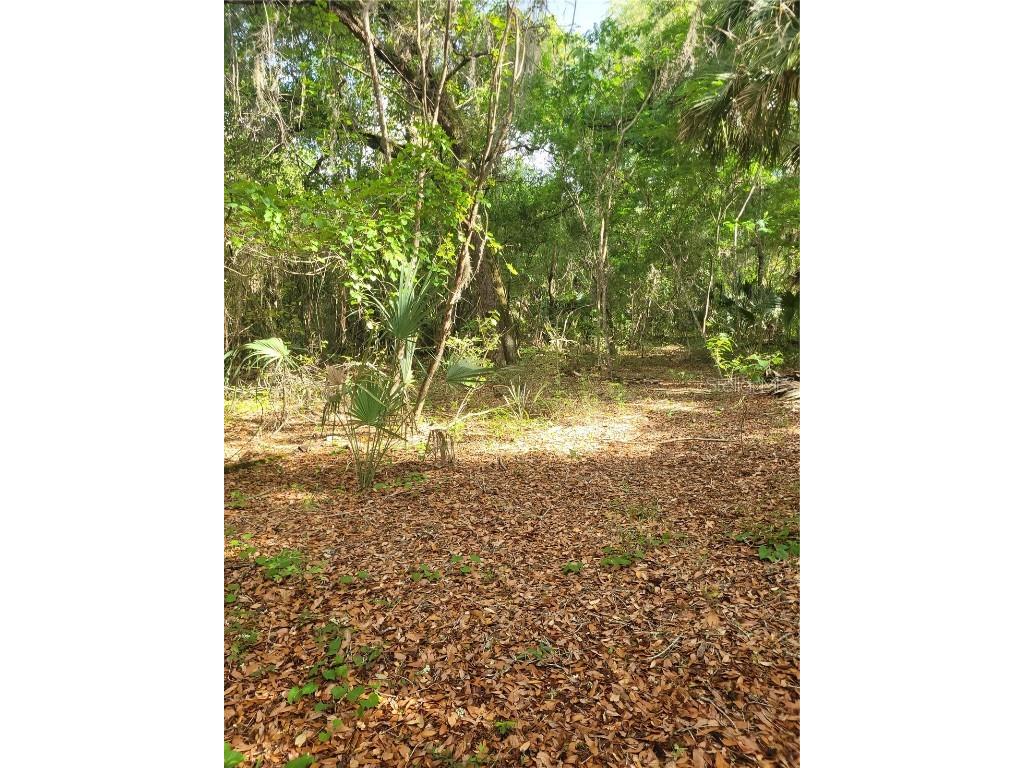 NE 210th Street Fort Mc Coy FL 32134 OM657353 image1