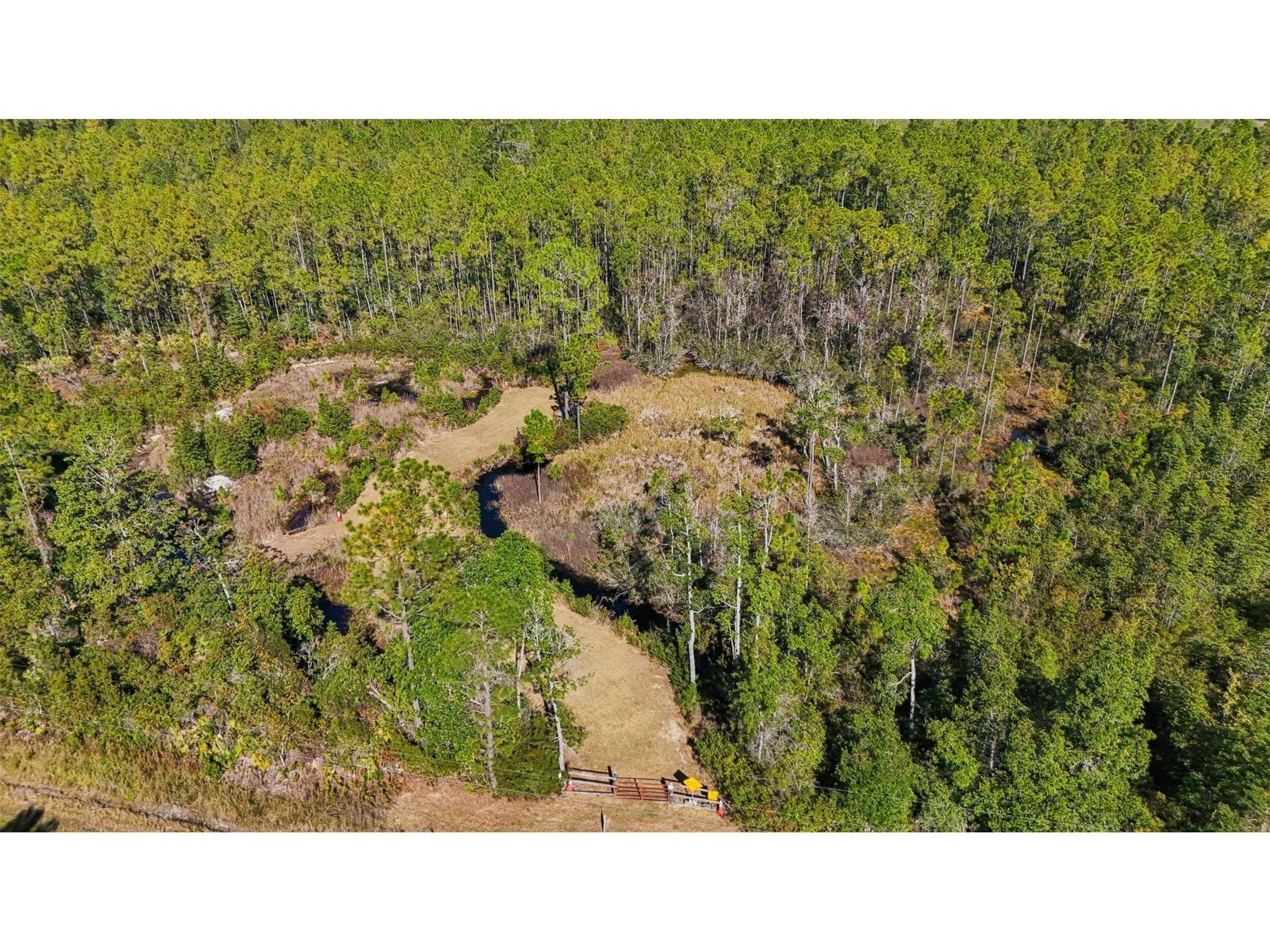 NE 212th Street Road Fort Mc Coy FL 32134 G5104432 image1
