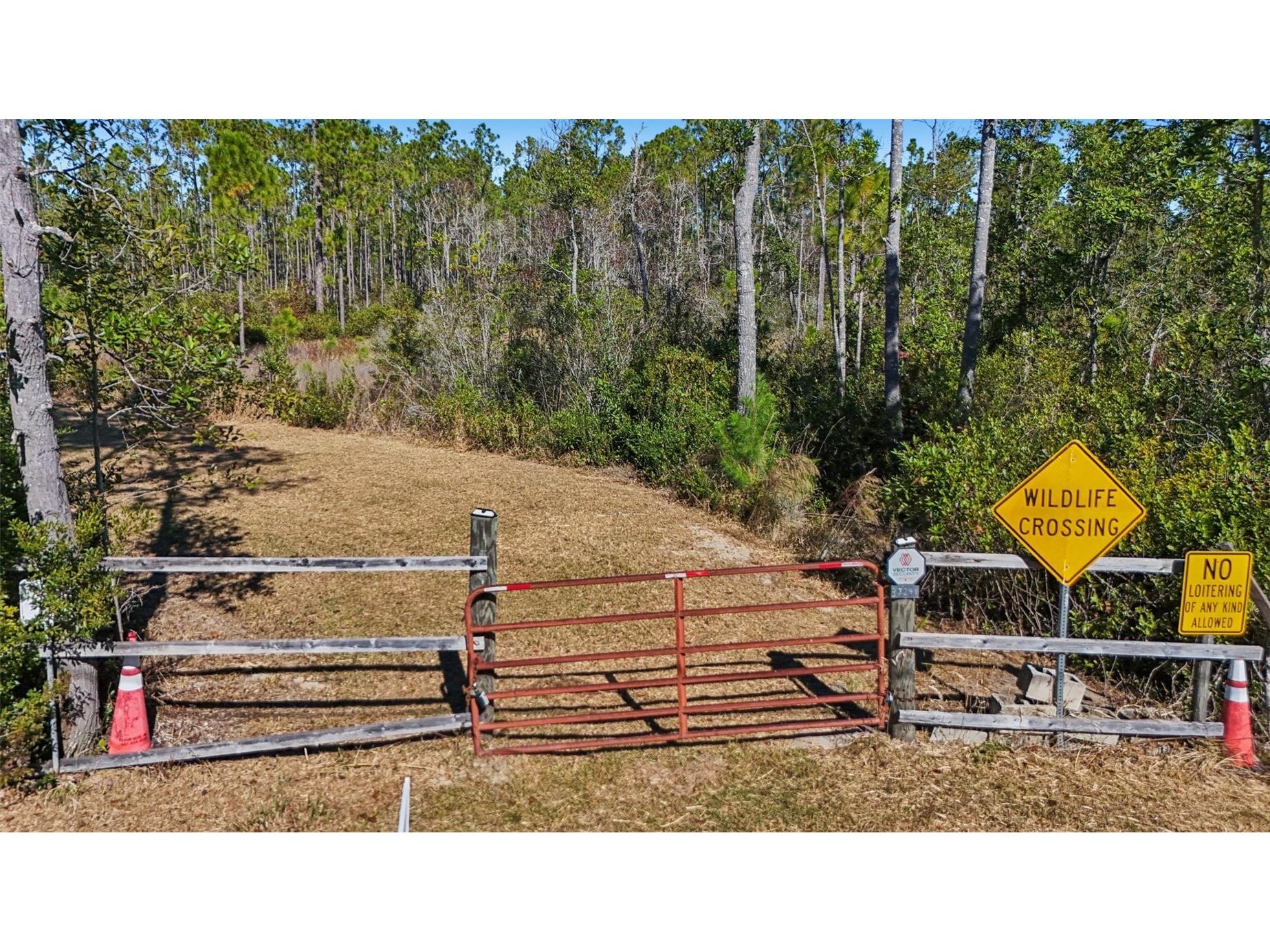 NE 212th Street Road Fort Mc Coy FL 32134 G5104432 image11