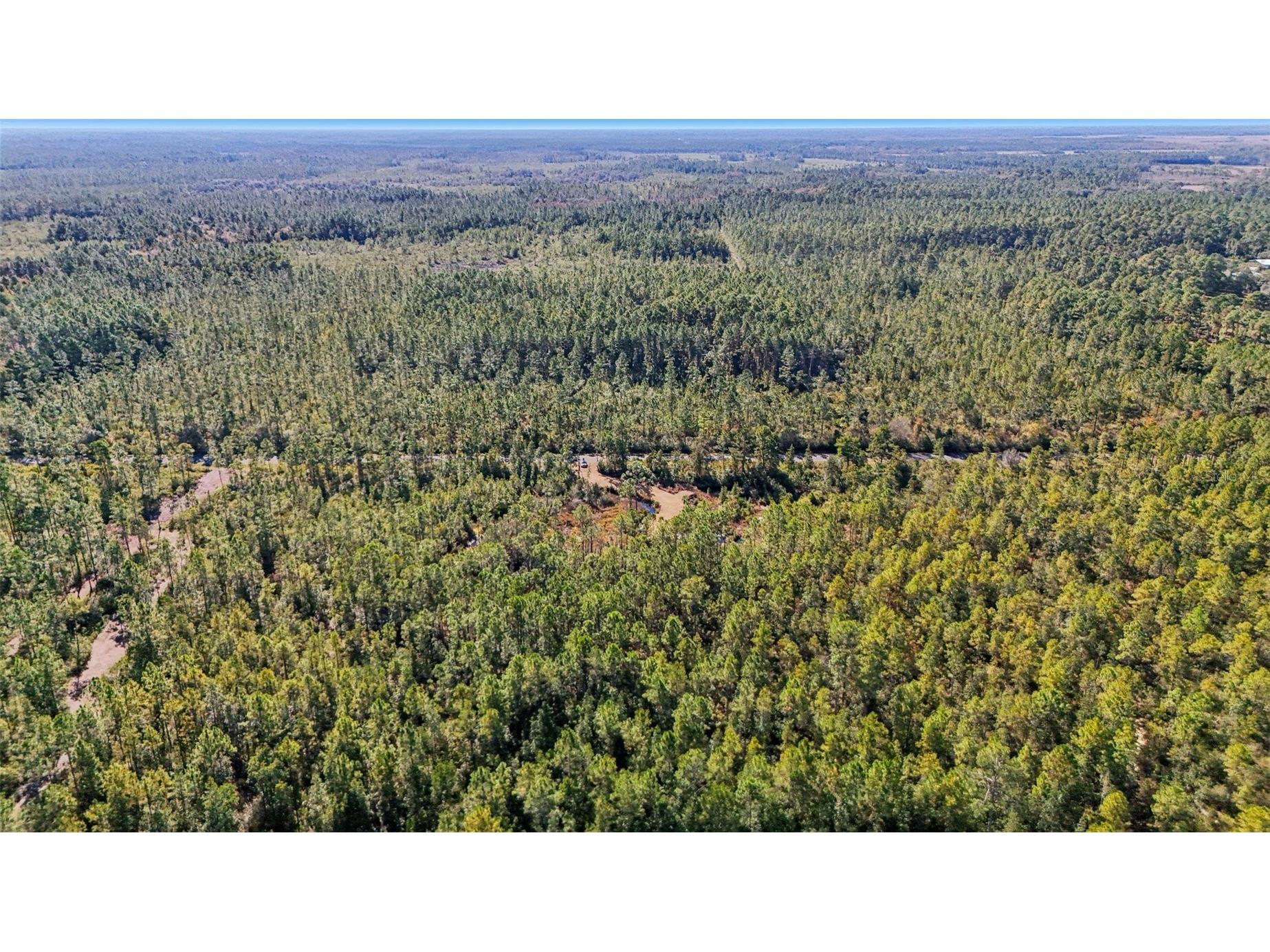 NE 212th Street Road Fort Mc Coy FL 32134 G5104432 image6