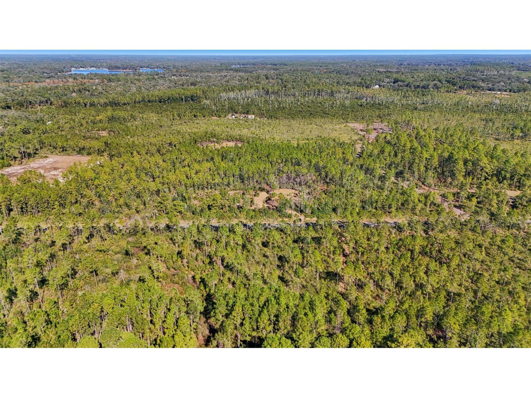 NE 212th Street Road Fort Mc Coy FL 32134 G5104432 image8