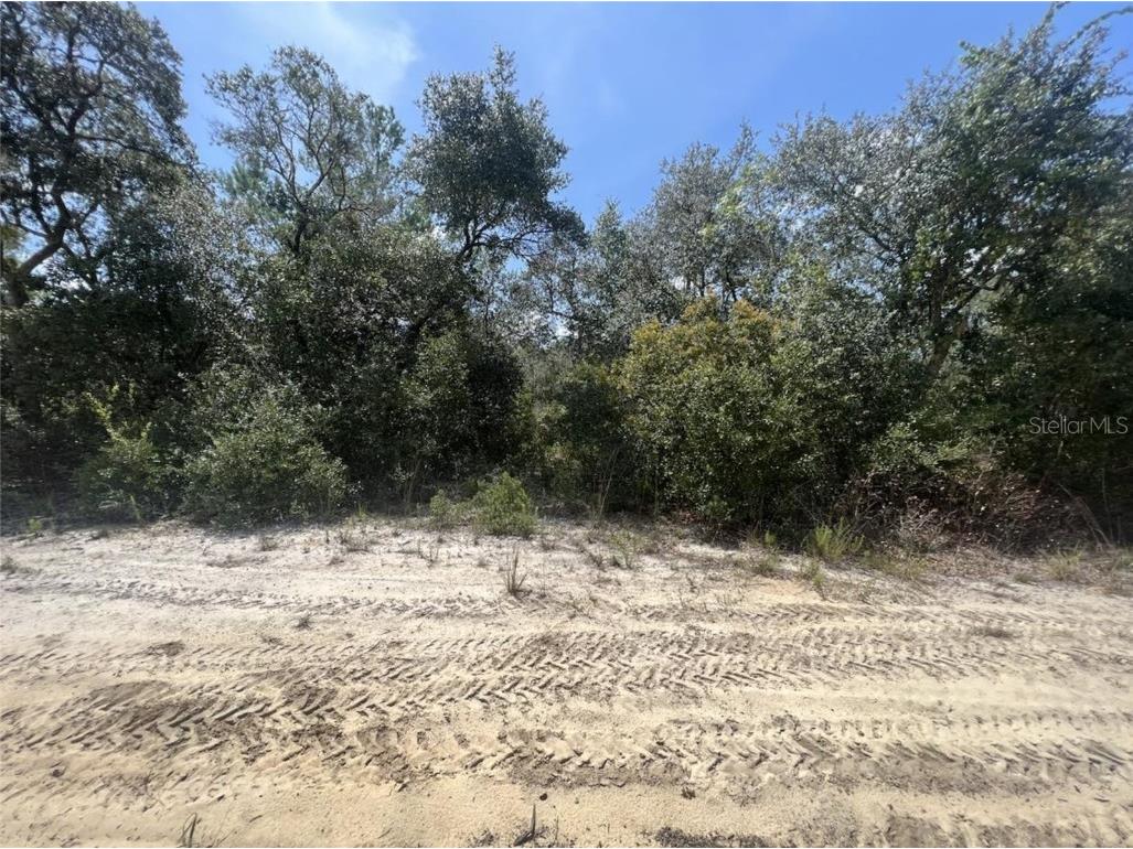 Ne 233rd Lane Fort Mc Coy FL 32134 GC515779 image1