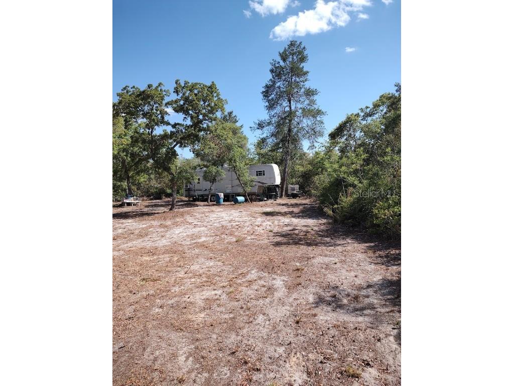 Ne 234th Lane Lane NE Fort Mc Coy FL 32134 OM699820 image1