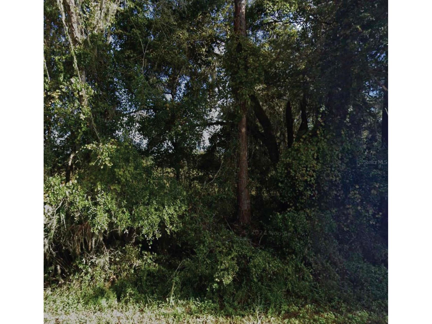 NE 234th Place Road Fort Mc Coy FL 32134 O6412925 image1