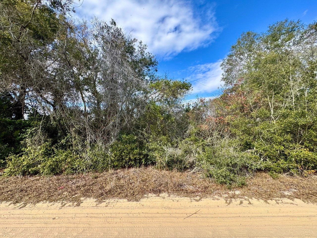 NE 235th Street Fort Mc Coy FL 32134 OM718287 image1