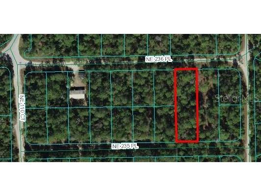 NE 236 Place Fort Mc Coy FL 32134 OM677905 image1